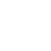 Bankruptcy Lawyers